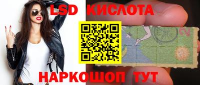 стафф Новокубанск