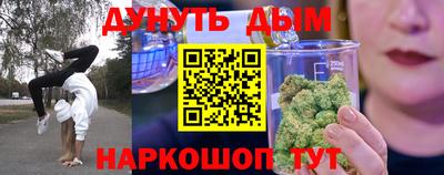a pvp Новозыбков
