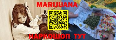 a pvp Новозыбков