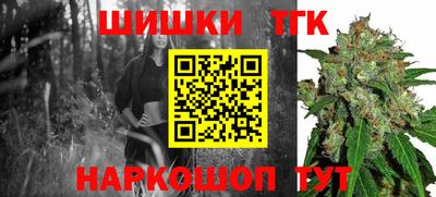 a pvp Новозыбков