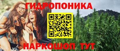 стафф Новокубанск