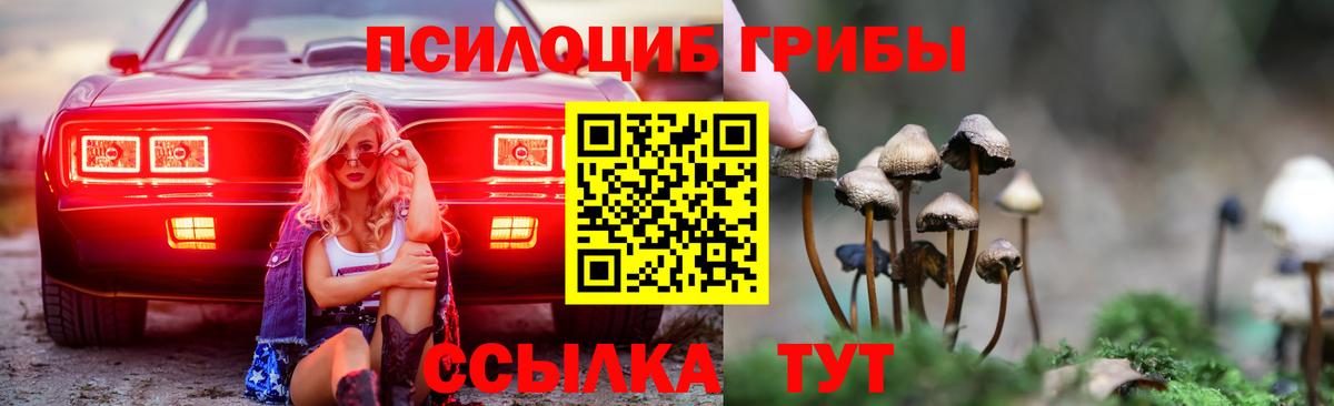 магазин    Псилоцибиновые грибы Psilocybe  Вход с VPN  Светлоград 